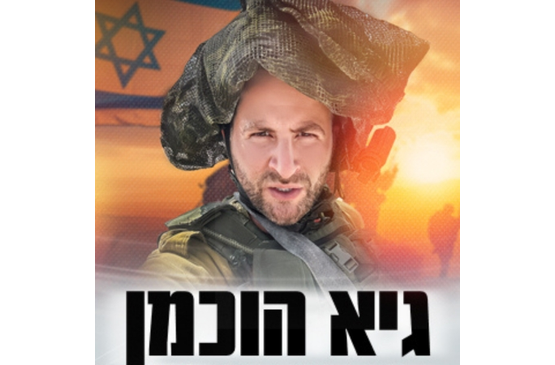 תמונת מופע: גיא הוכמן